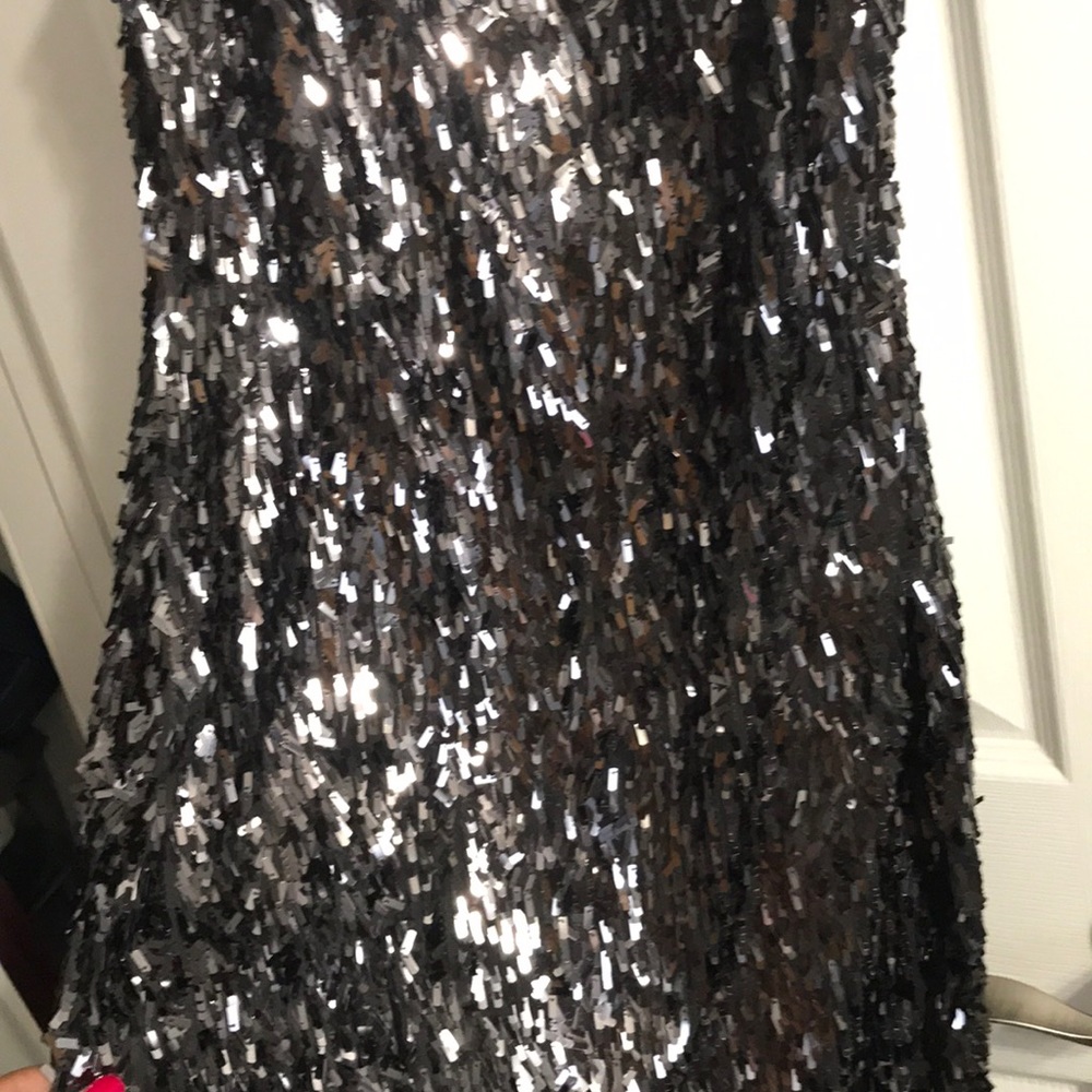 Express Sequin Dress - Picture 3 of 5